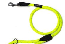 leads for dogs