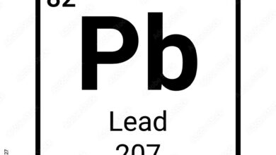leads meaning